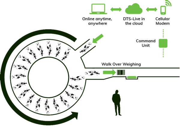 https://dts.co.nz/assets/Walk-Over-Weighing-Module-rotary__ResizedImageWzYwMCw0NDdd.png